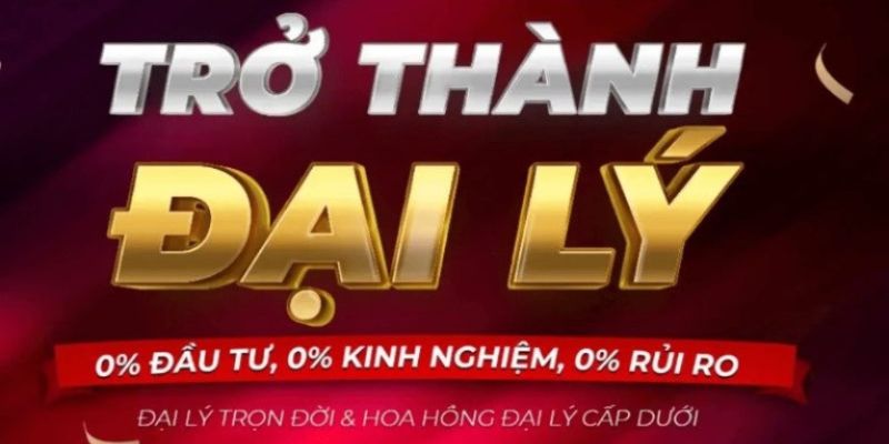 dai-ly-betvisa-4
